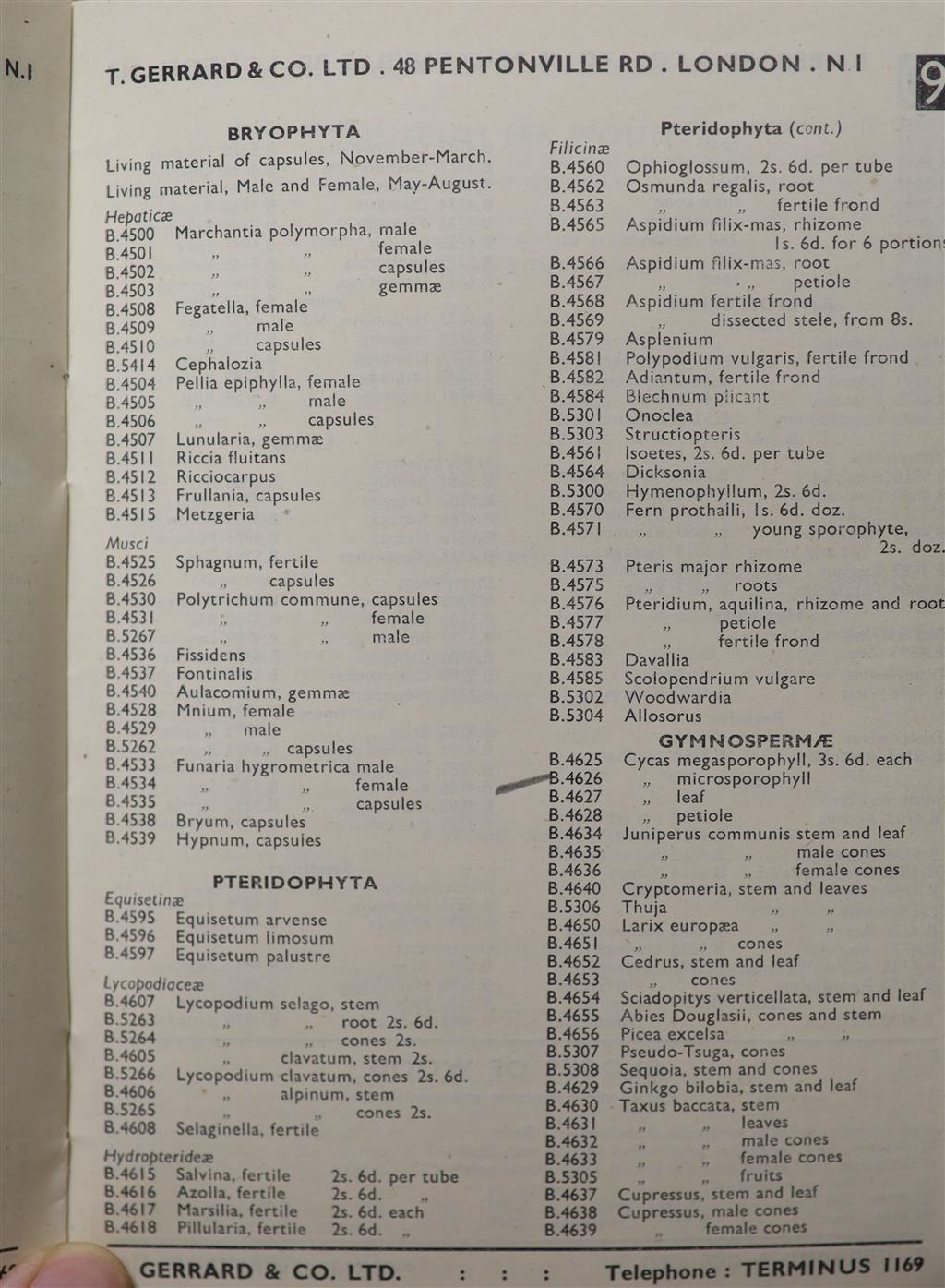 Australian and World Botanical etc. specimens,